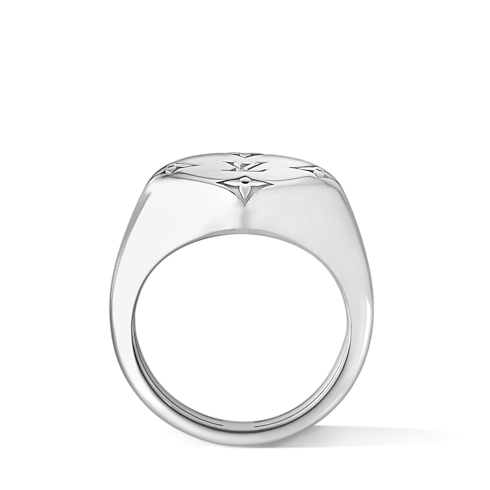 Categories Rings Les Gastons Vuitton Signet Ring, White Gold | Louis Vuitton ® (Product zoom)