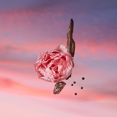 Collections Masculine Perfumes Les Sables Roses | Louis Vuitton ® (Product zoom)