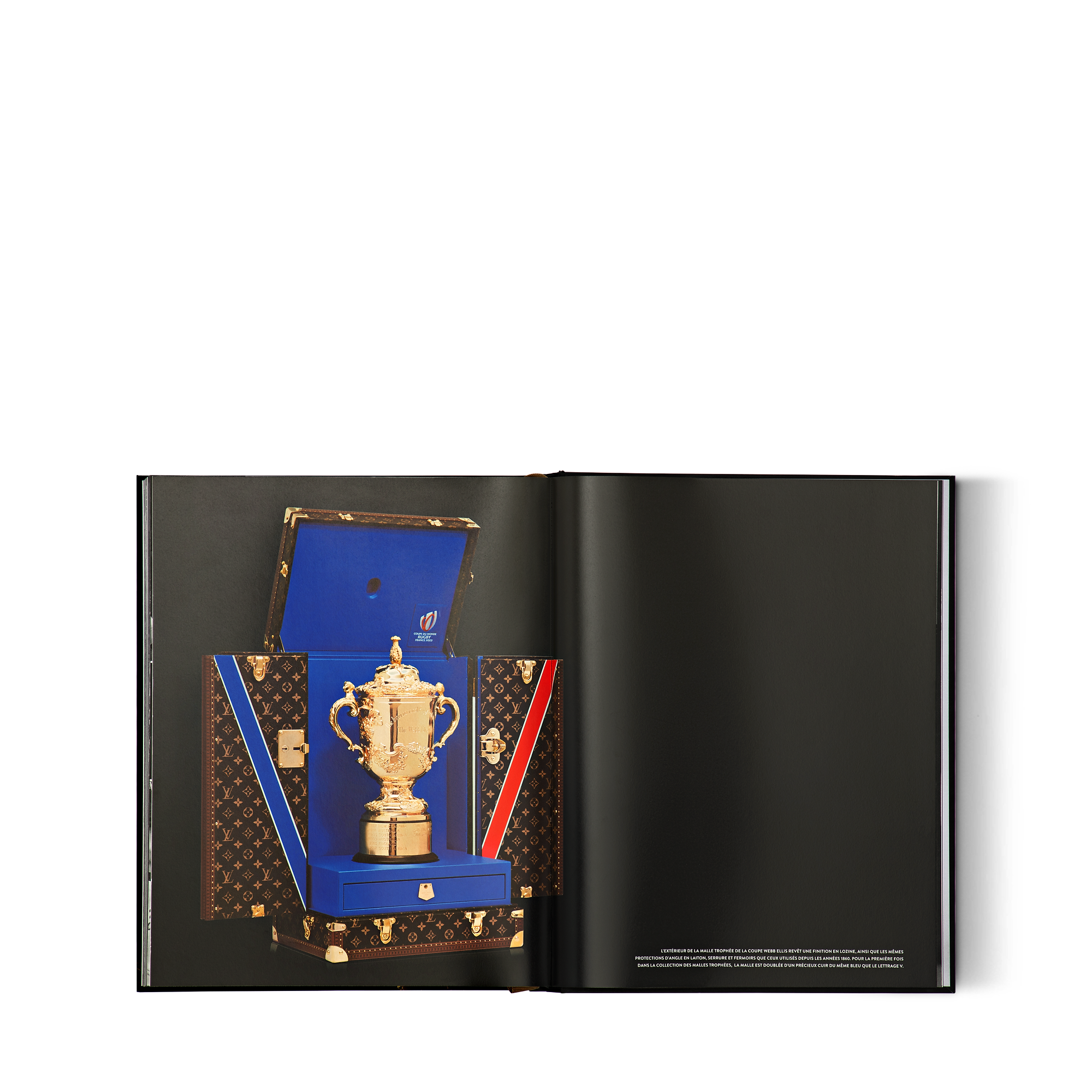 Louis Vuitton Trophies