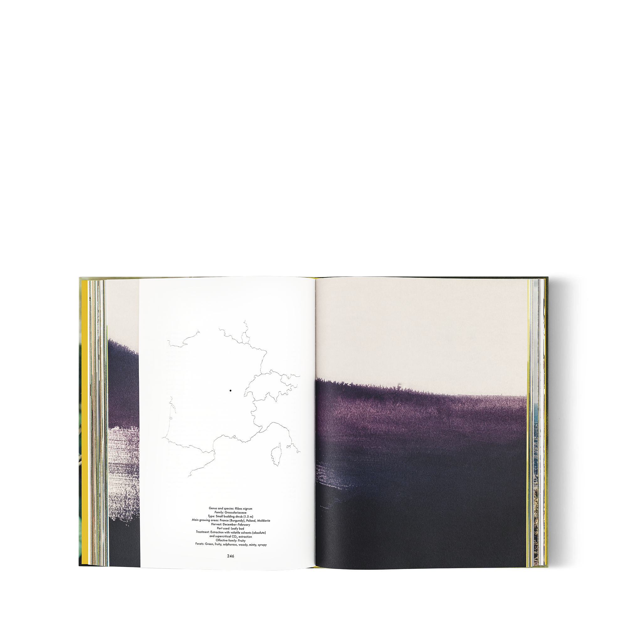 A Perfume Atlas