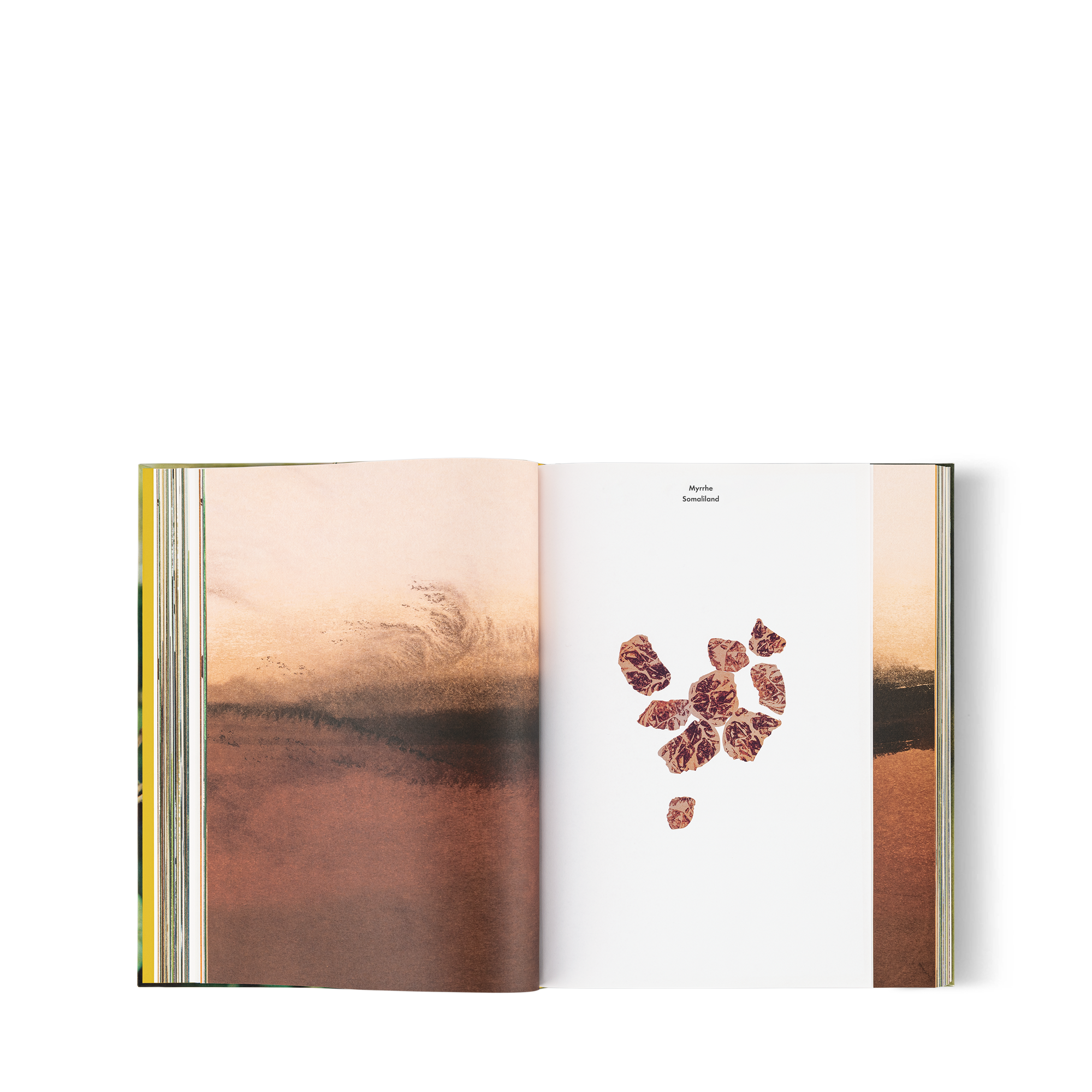  Library Hard Cover Books Louis Vuitton: A Perfume Atlas, French Version | Louis Vuitton ® (Product zoom)