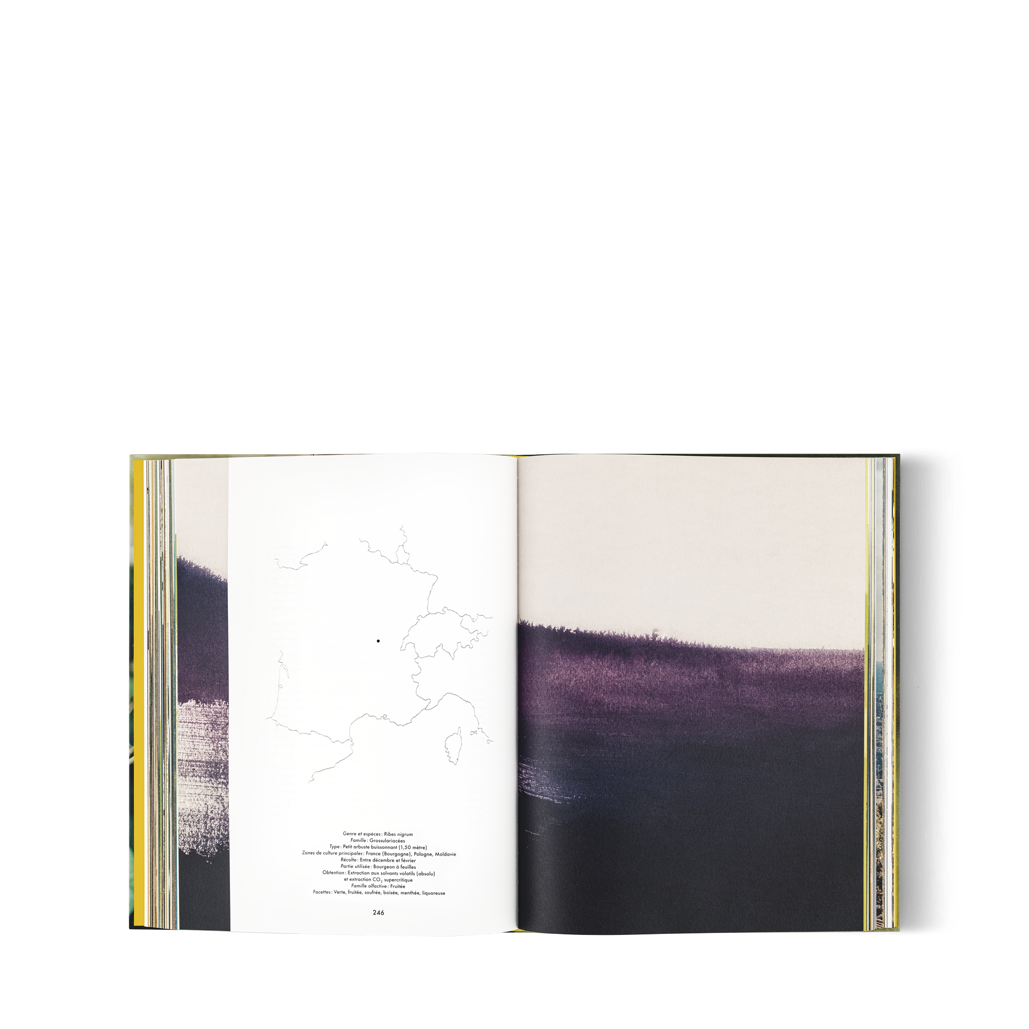  Library Hard Cover Books Louis Vuitton: A Perfume Atlas, French Version | Louis Vuitton ® (Product zoom)