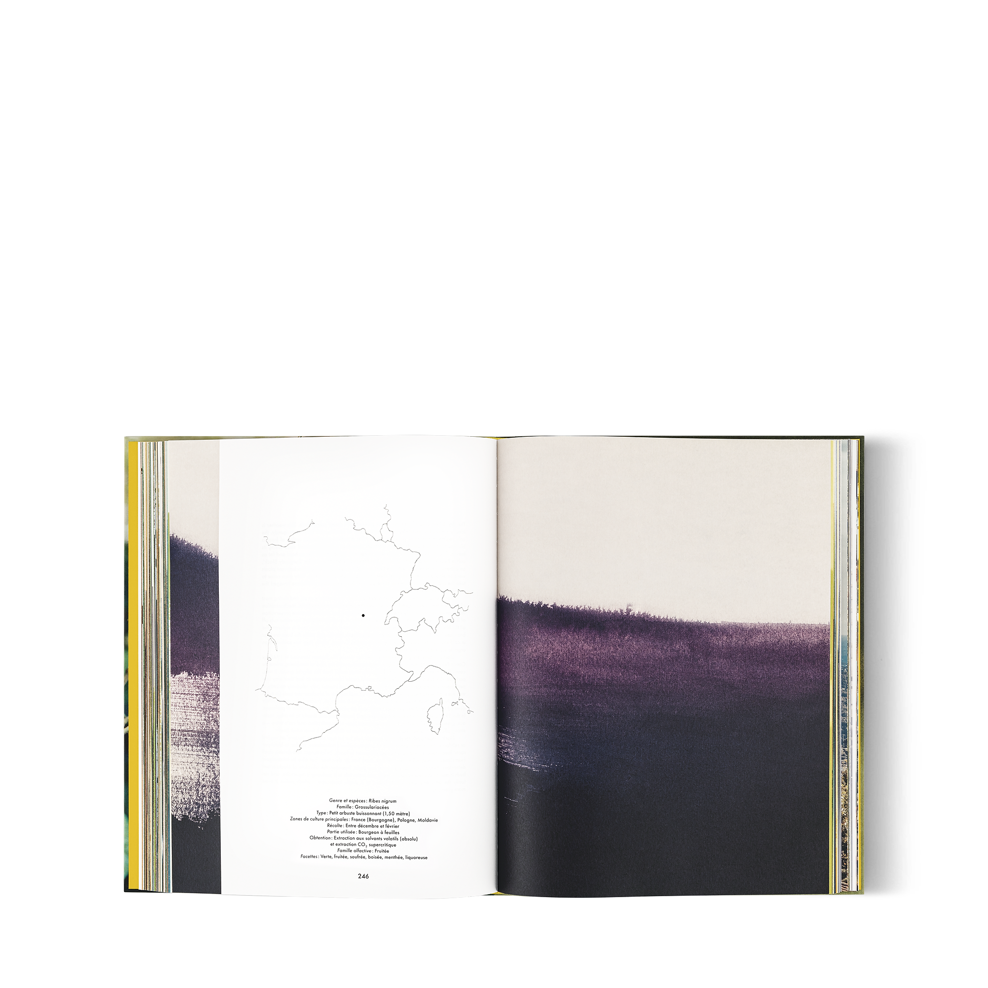 A Perfume Atlas, French Version