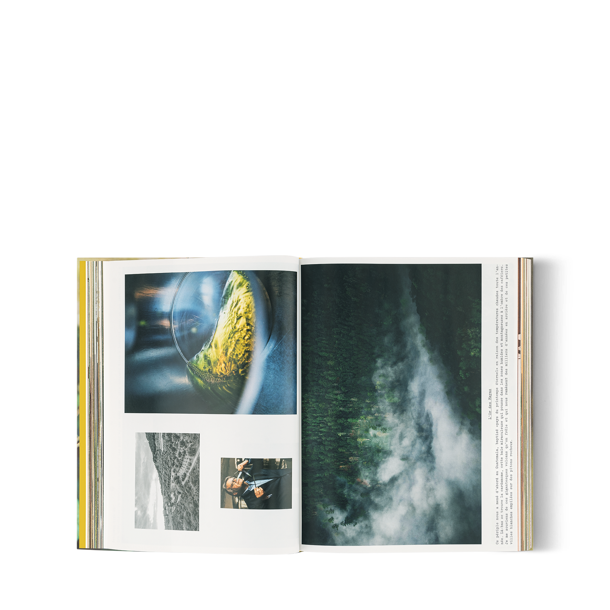 A Perfume Atlas, French Version