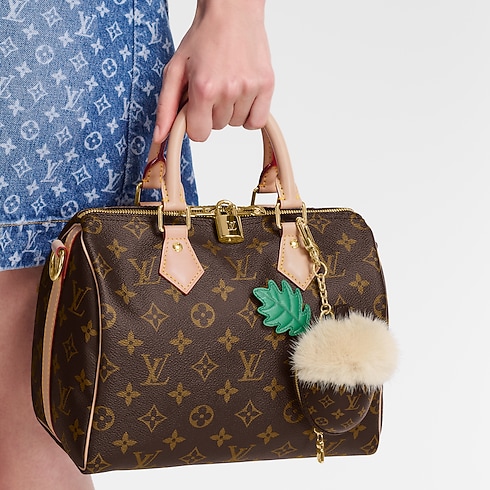 S00 Accessories Key Holders and Bag Charms LV Acorn Pouch | Louis Vuitton ® (Product zoom)