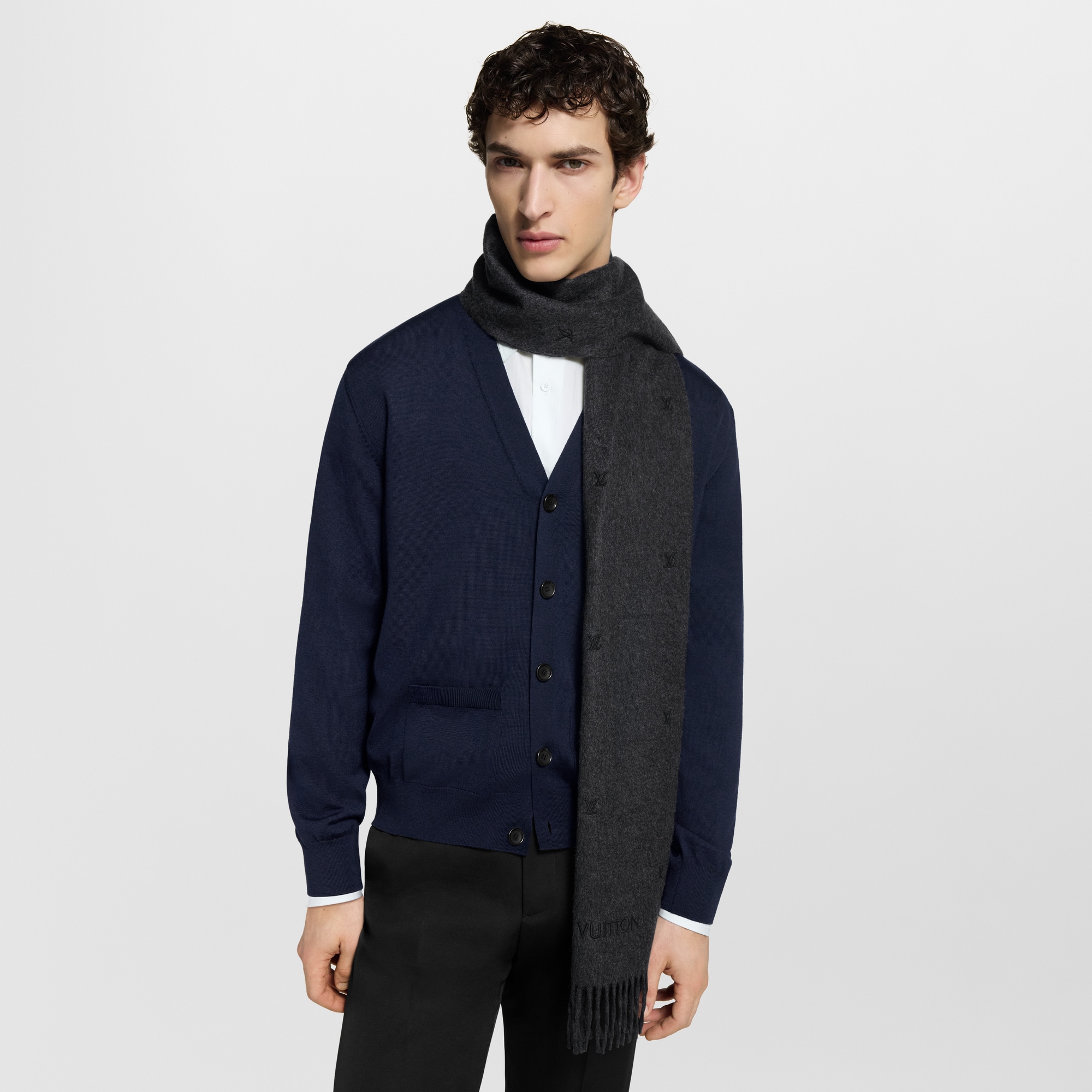 S00 Accessories Scarves LV Blason Embroidered Scarf | Louis Vuitton ® (Product zoom)