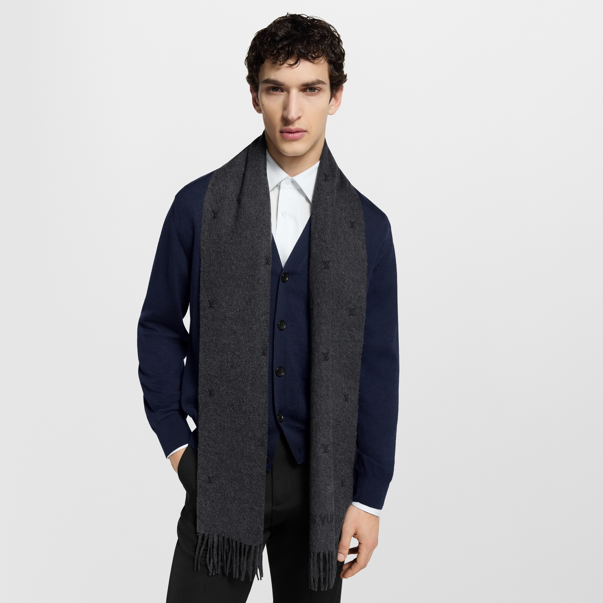 S00 Accessories Scarves LV Blason Embroidered Scarf | Louis Vuitton ® (Product zoom)