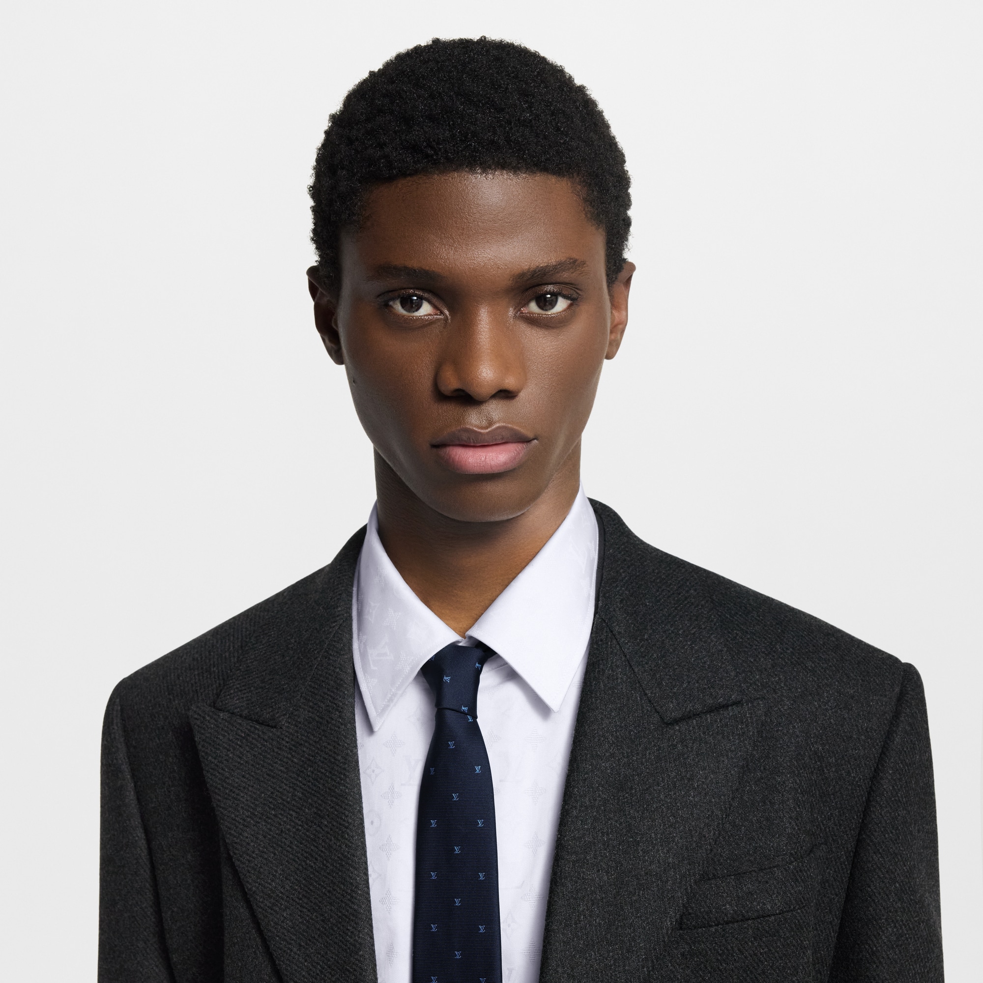 S00 Accessories Ties and Pocket Squares LV Blason Tie | Louis Vuitton ® (Product zoom)