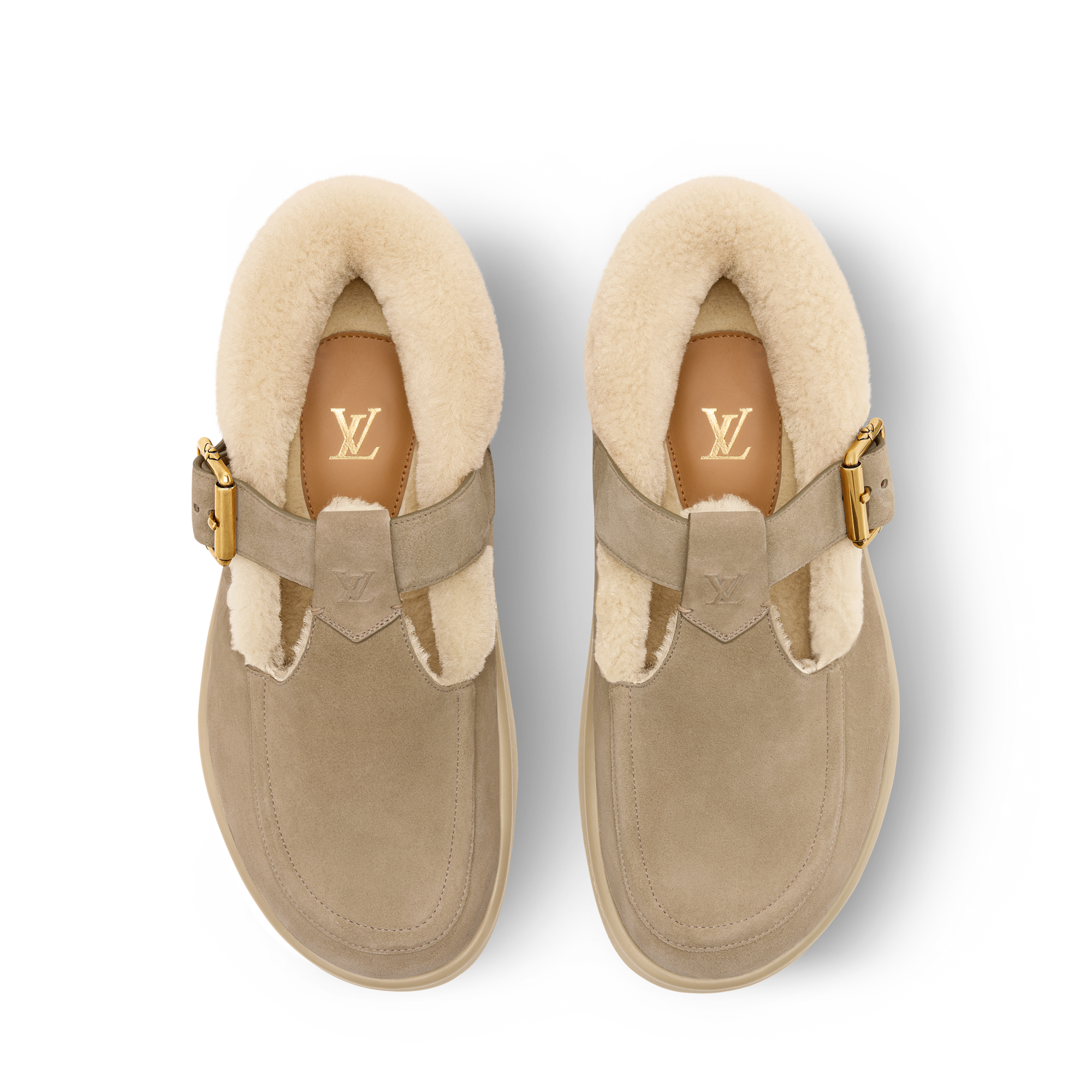  Shoes Buckles and Lace-Ups LV Easy Mary Jane | Louis Vuitton ® (Product zoom)