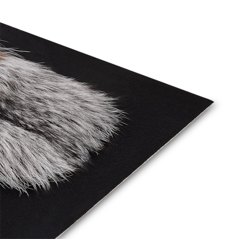 S00 New In Women } LV Neo Foxy Cape | Louis Vuitton ® (Product zoom)
