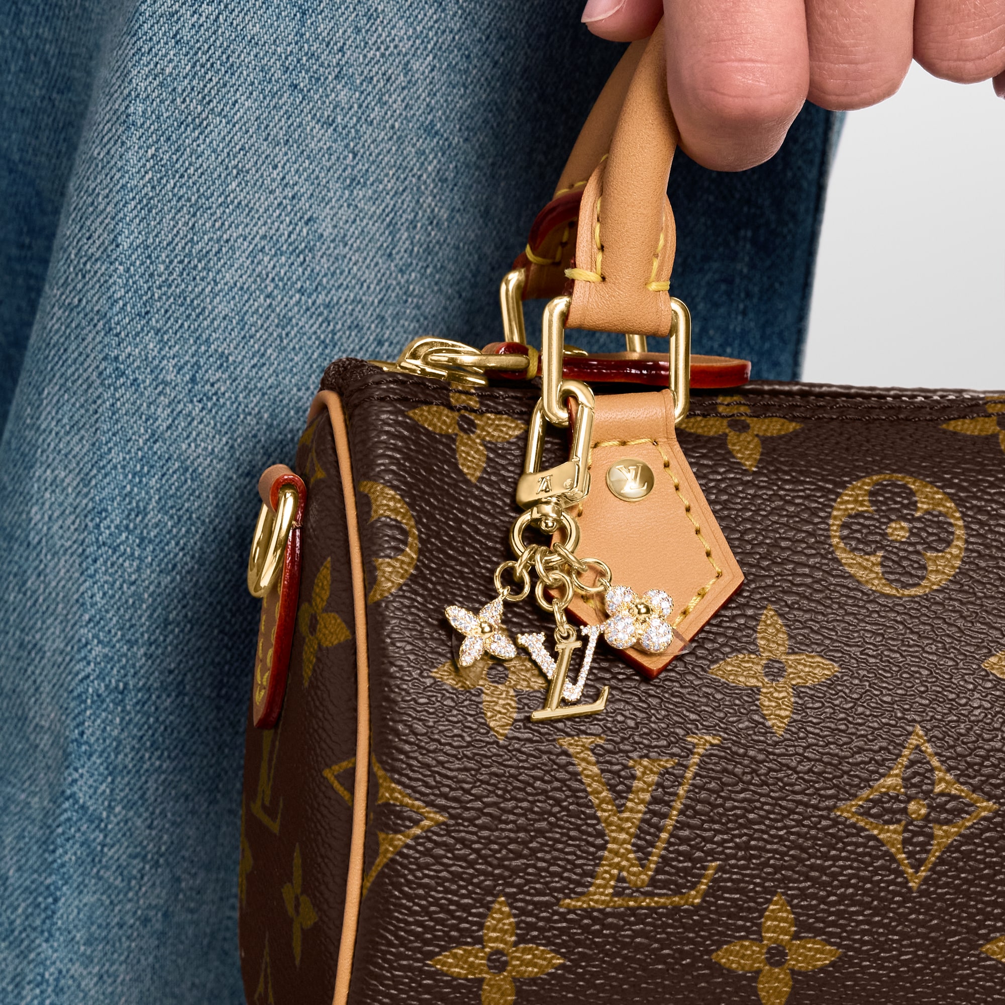 S00 Accessories Key Holders and Bag Charms Micro Charms LV Iconic Key Holder  | Louis Vuitton ® (Product zoom)