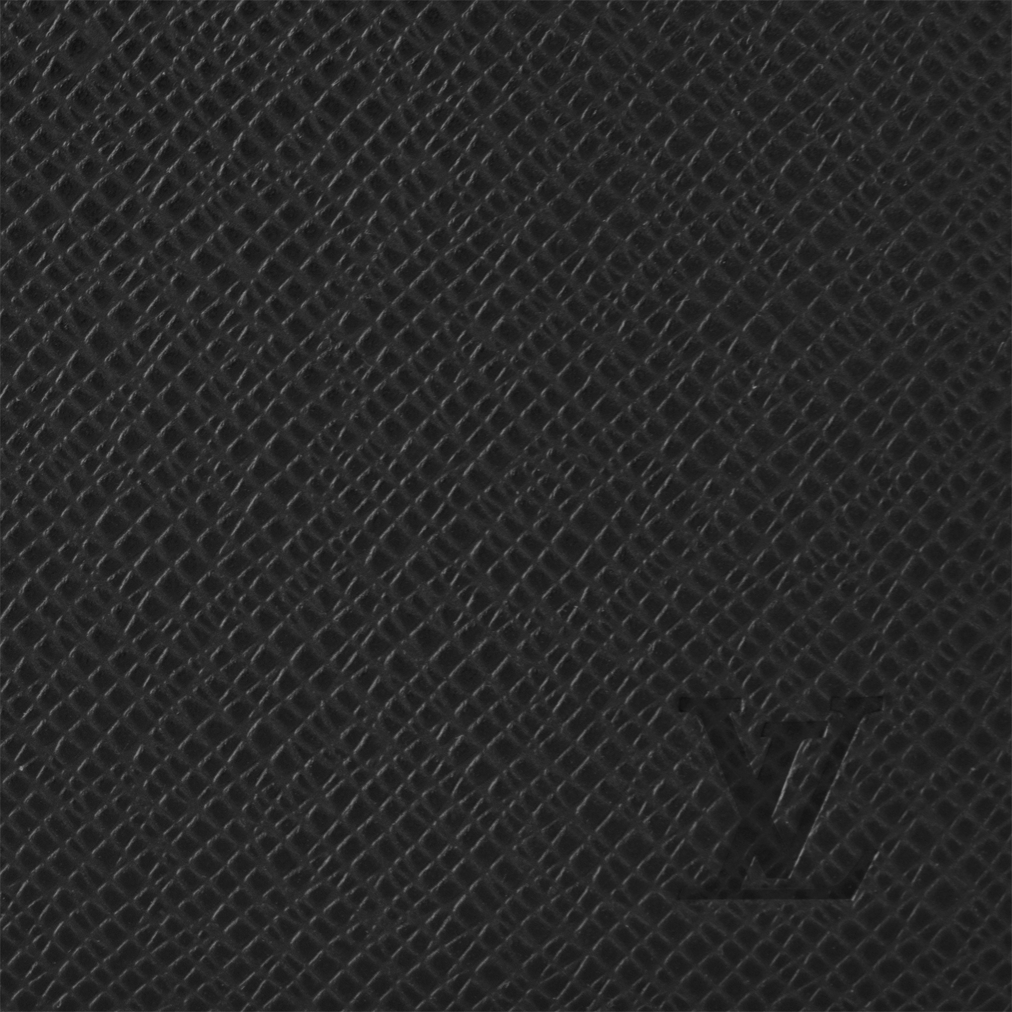 Taiga Leather Small Leather Goods All Small Leather Goods MULTIPLE WALLET | Louis Vuitton ® (Product zoom)