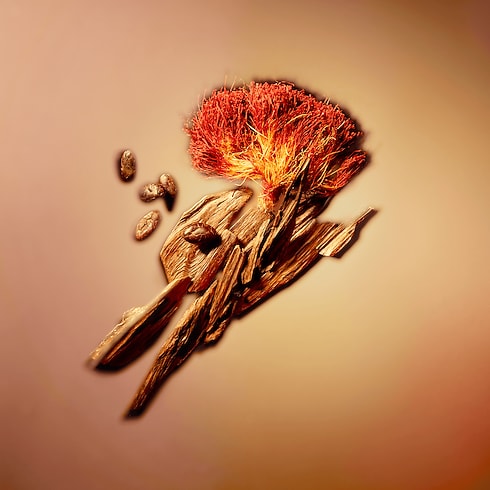 Collections Masculine Perfumes Nouveau Monde | Louis Vuitton ® (Product zoom)