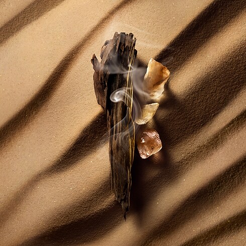 New In Women } Ombre Nomade | Louis Vuitton ® (Product zoom)