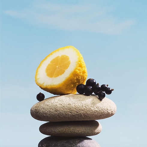 Collections Masculine Perfumes Pacific Chill | Louis Vuitton ® (Product zoom)