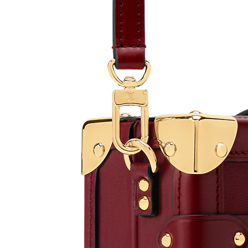Other Leathers Women's Bags LV Icons Petite Malle | Louis Vuitton ® (Product zoom)