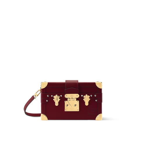 Other Leathers Women's Bags LV Icons Petite Malle | Louis Vuitton ® (Product zoom)