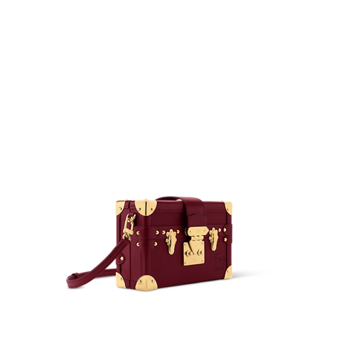 Other Leathers Women's Bags LV Icons Petite Malle | Louis Vuitton ® (Product zoom)