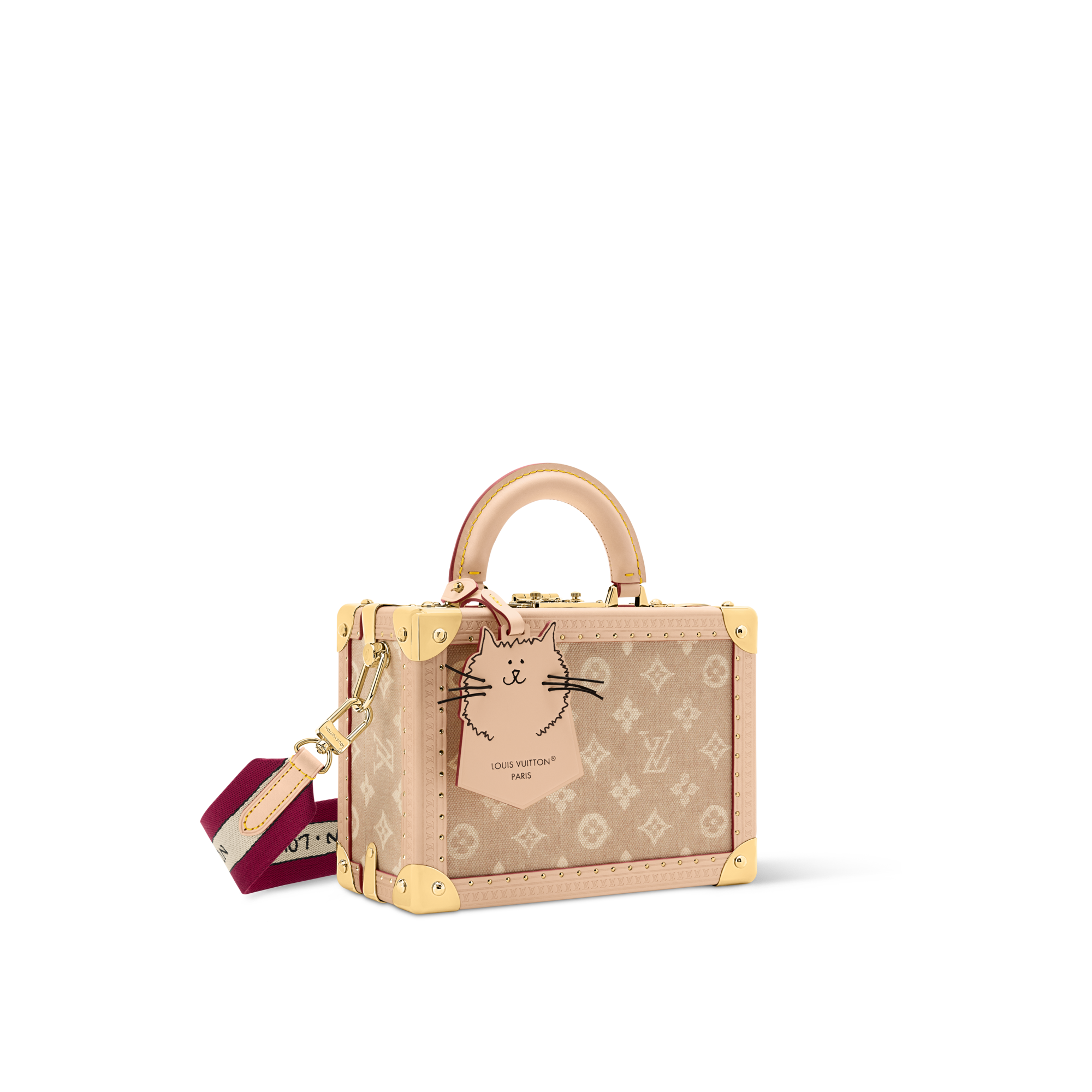 Other Monogram Canvas Trunks and Boxes Wearable Trunks Petite Valise | Louis Vuitton ® (Product zoom)