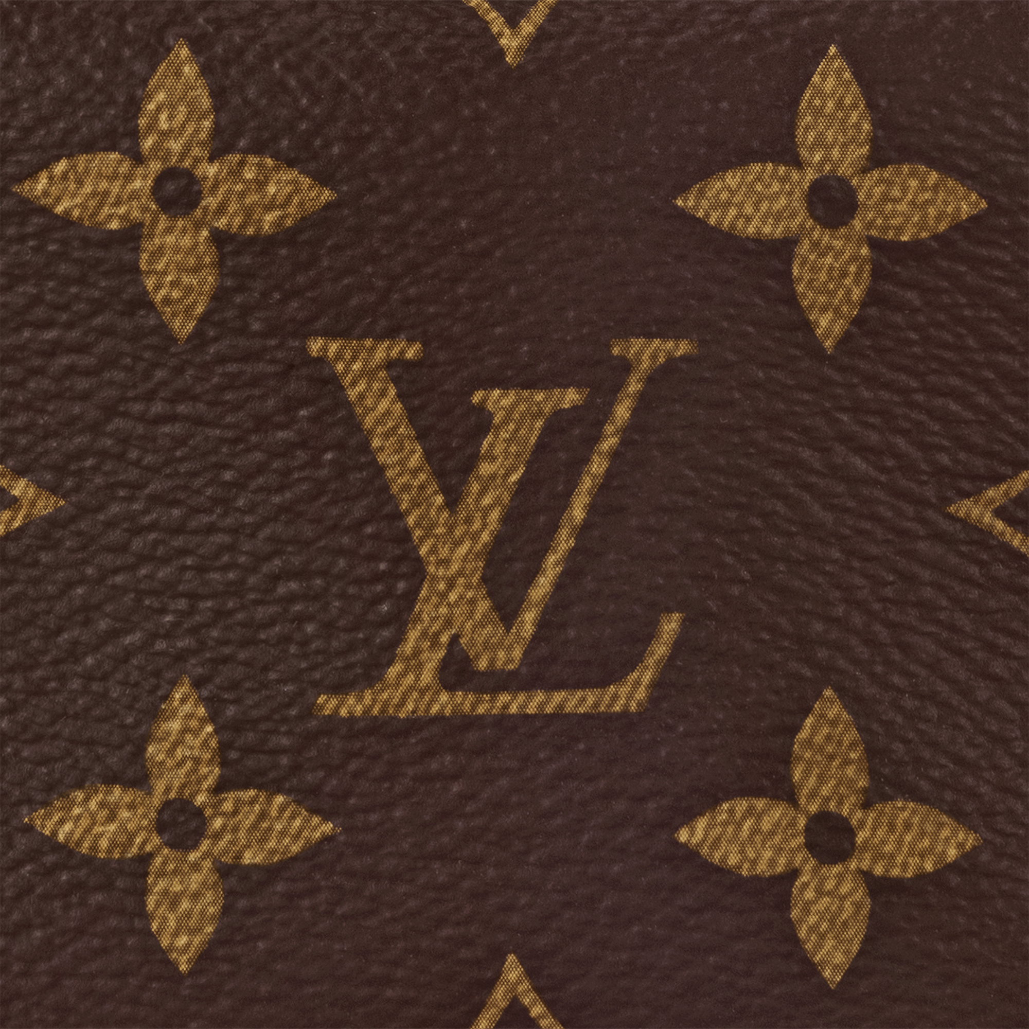 Monogram Small Leather Goods Wallets on Chain and Nano Bags Pico Side Trunk | Louis Vuitton ® (Product zoom)