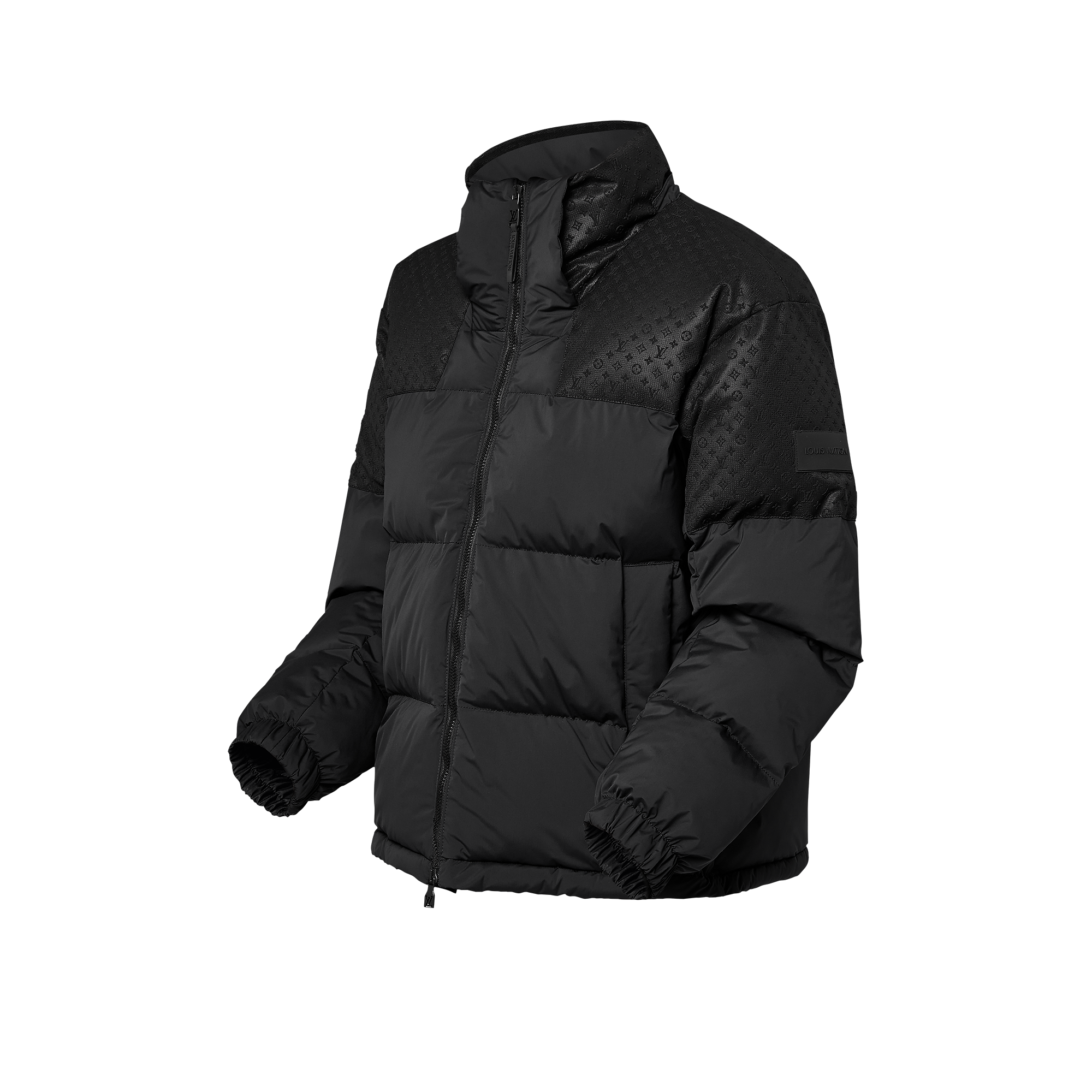 Placed Monogram Ecodown Blouson