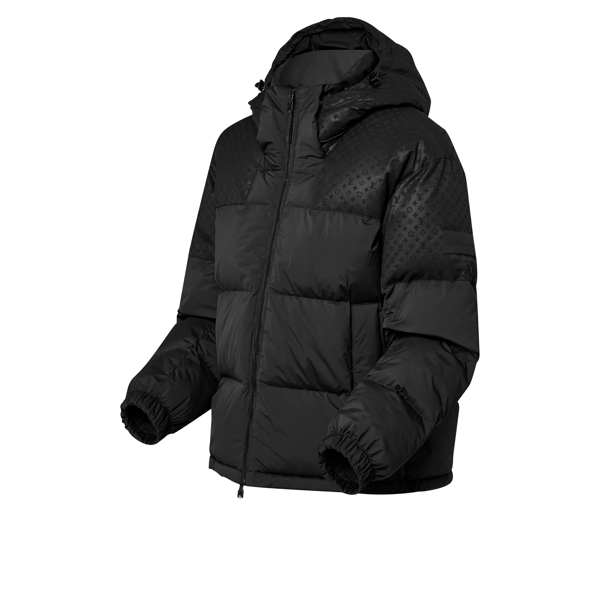  Ready-to-Wear Coats and Outerwear Placed Monogram Ecodown Blouson | Louis Vuitton ® (Product zoom)