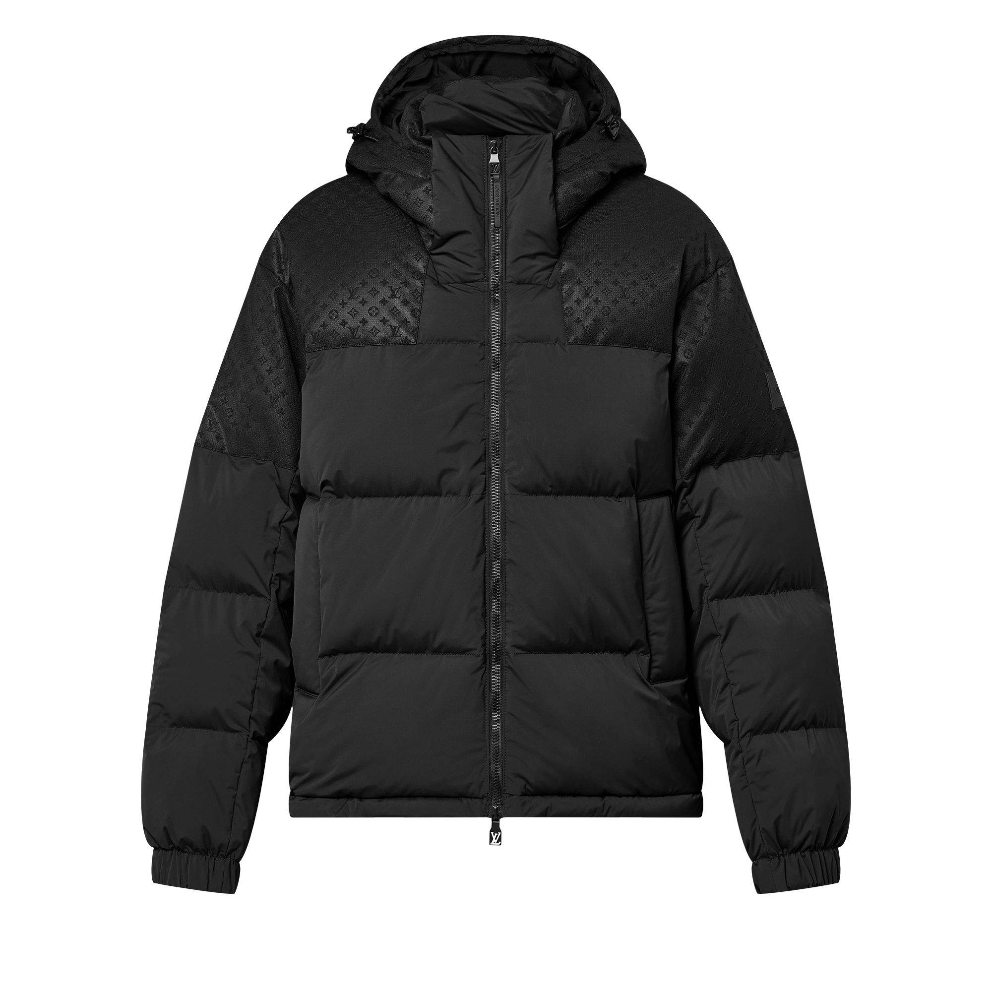  Ready-to-Wear Coats and Outerwear Placed Monogram Ecodown Blouson | Louis Vuitton ® (Product zoom)