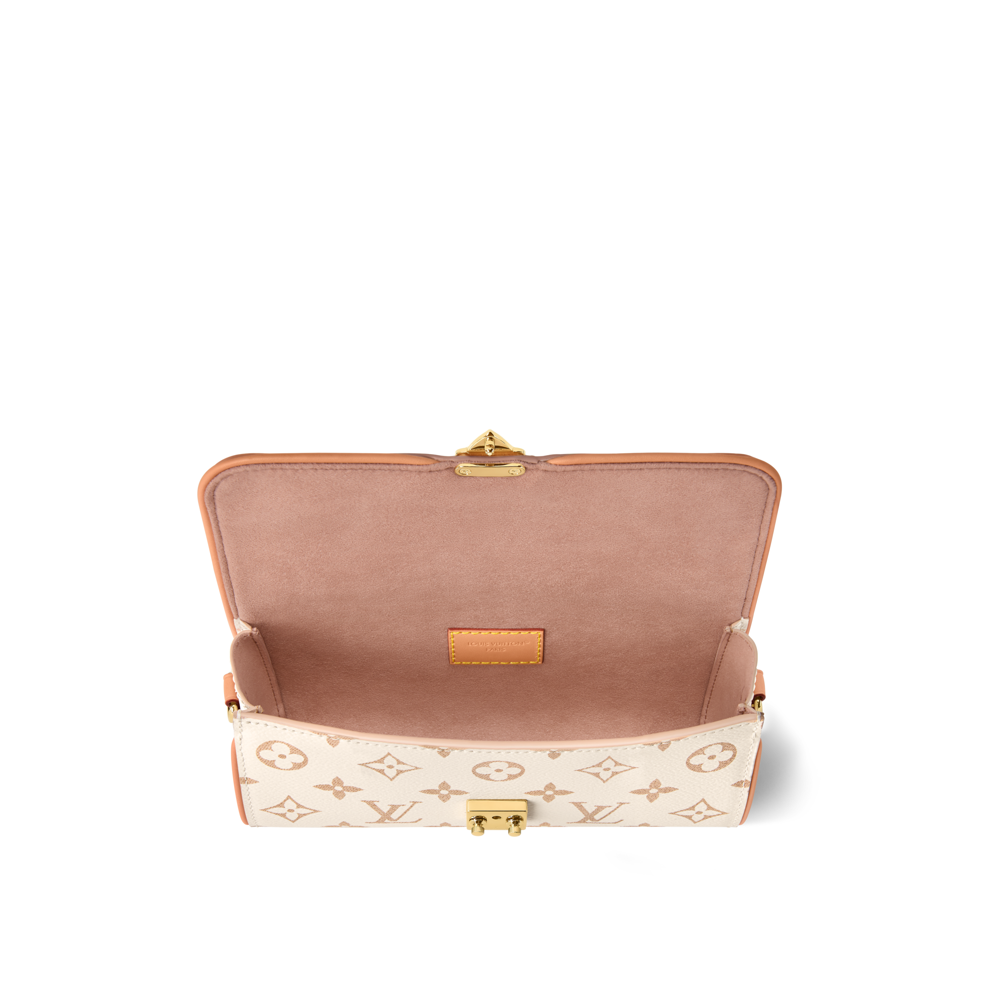 Other Monogram Canvas Small Leather Goods Wallets on Chain and Nano Bags Pochette Camille | Louis Vuitton ® (Product zoom)