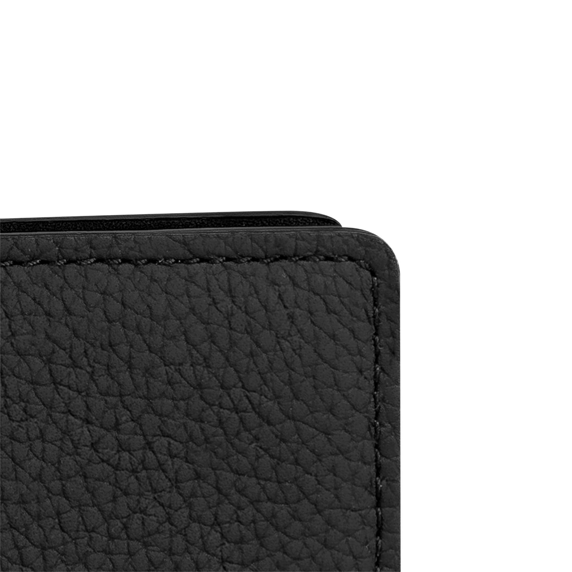 LV Aerogram Small Leather Goods All Small Leather Goods Pocket Organizer | Louis Vuitton ® (Product zoom)