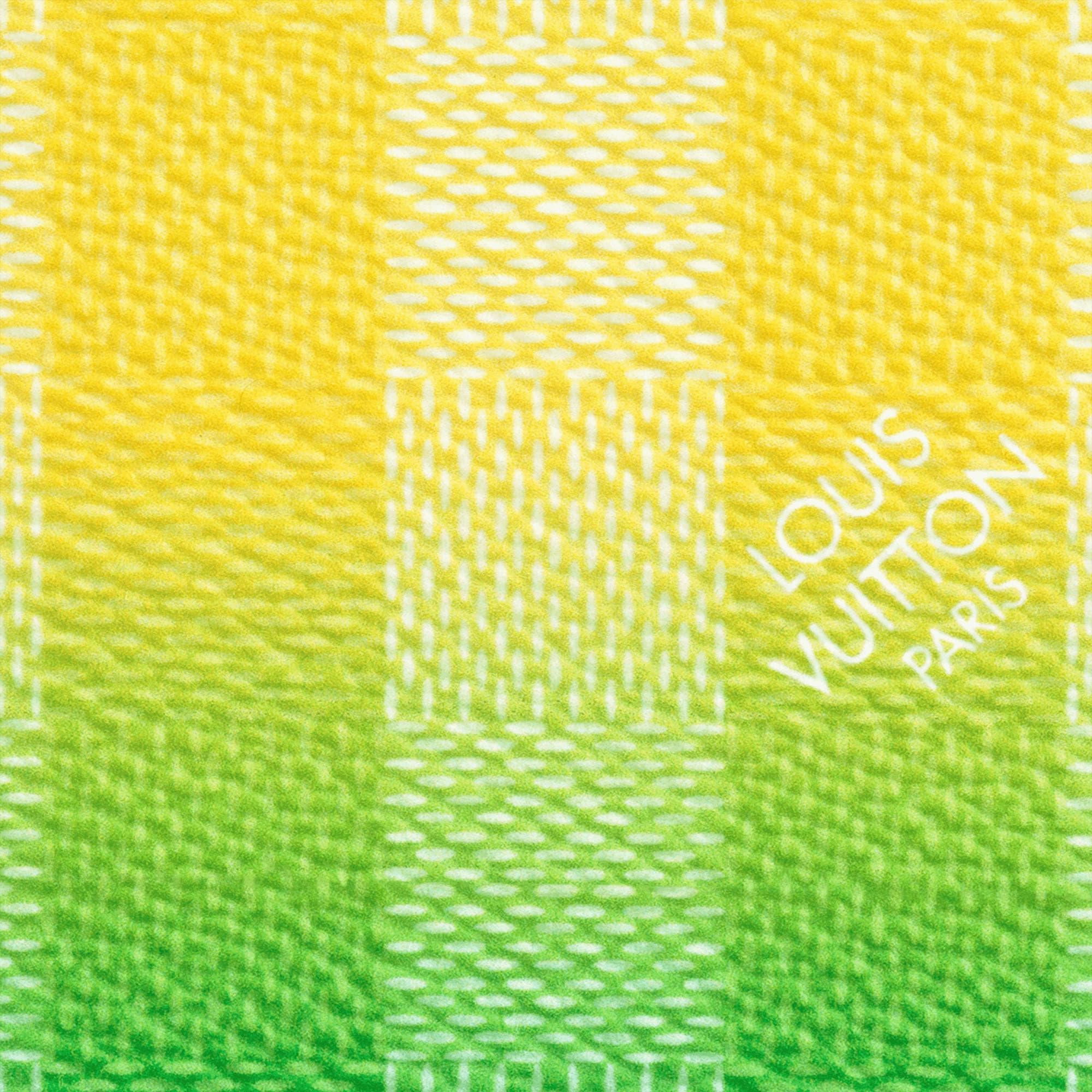 Damier Other Small Leather Goods All Small Leather Goods Pocket Organizer | Louis Vuitton ® (Product zoom)