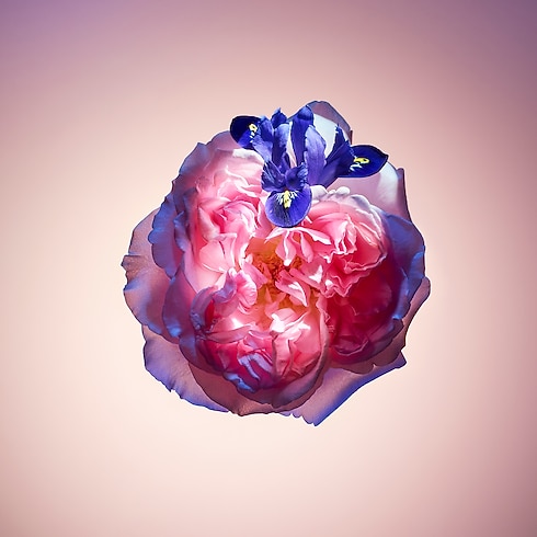 Collections Travel Rose des Vents | Louis Vuitton ® (Product zoom)