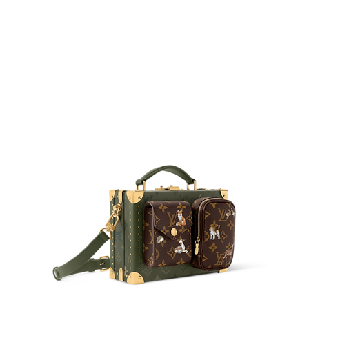 Other Monogram Canvas Trunks and Boxes Trunks and Suitcases Sawagani Trunk | Louis Vuitton ® (Product zoom)