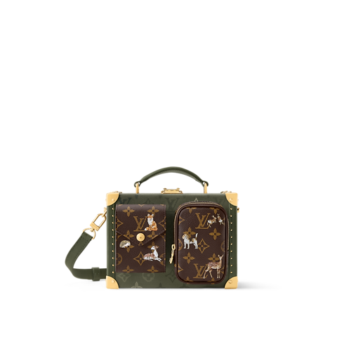 Other Monogram Canvas Trunks and Boxes Trunks and Suitcases Sawagani Trunk | Louis Vuitton ® (Product zoom)