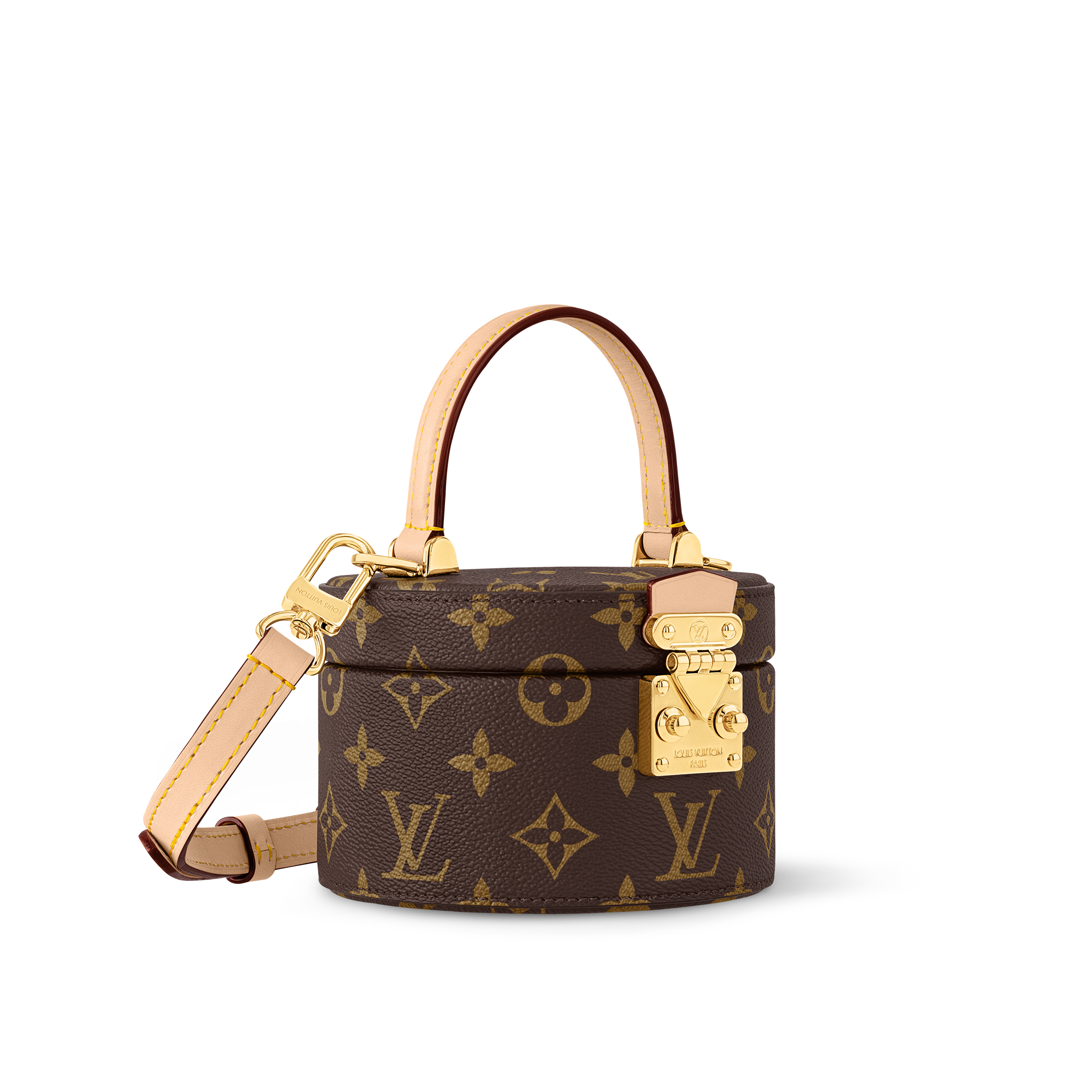 Monogram Small Leather Goods Wallets on Chain and Nano Bags Scott | Louis Vuitton ® (Product zoom)