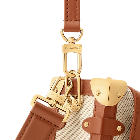 Other Canvas Women's Bags LV Icons Side Trunk MM | Louis Vuitton ® (Product zoom)