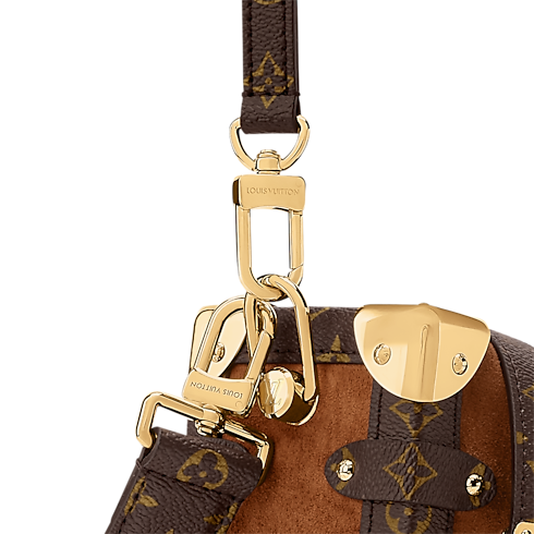 H27 Women's Bags LV Icons Side Trunk MM | Louis Vuitton ® (Product zoom)