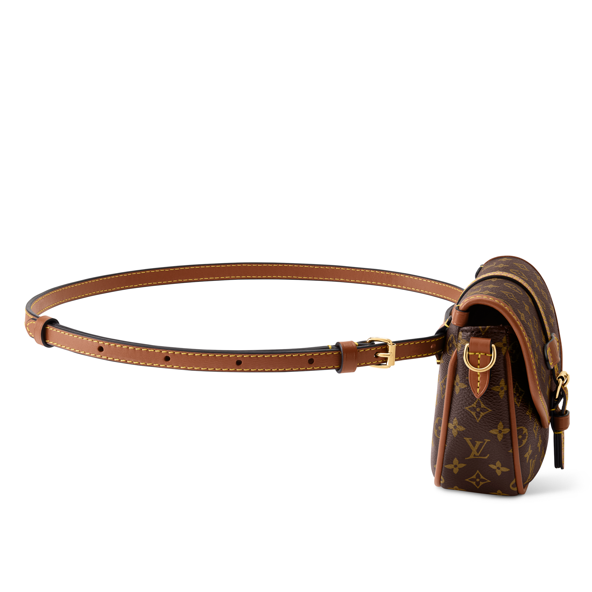 Monogram Small Leather Goods Wallets on Chain and Nano Bags Solo | Louis Vuitton ® (Product zoom)