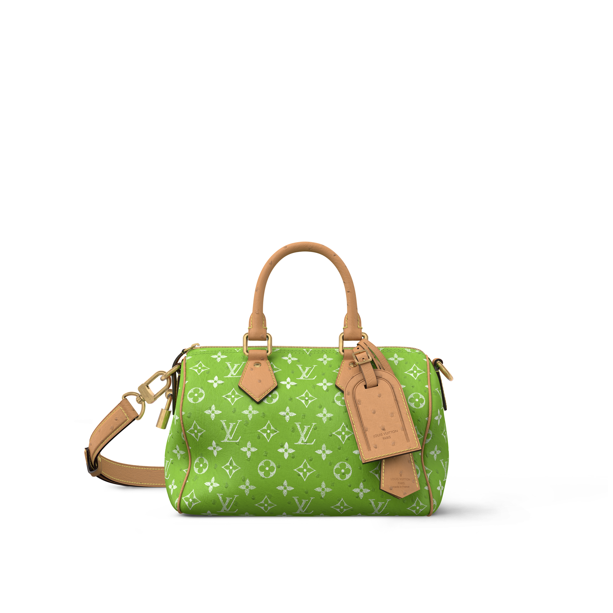 Ostrich Leather Exotics Men City Bags Speedy P9 25 | Louis Vuitton ® (Product zoom)