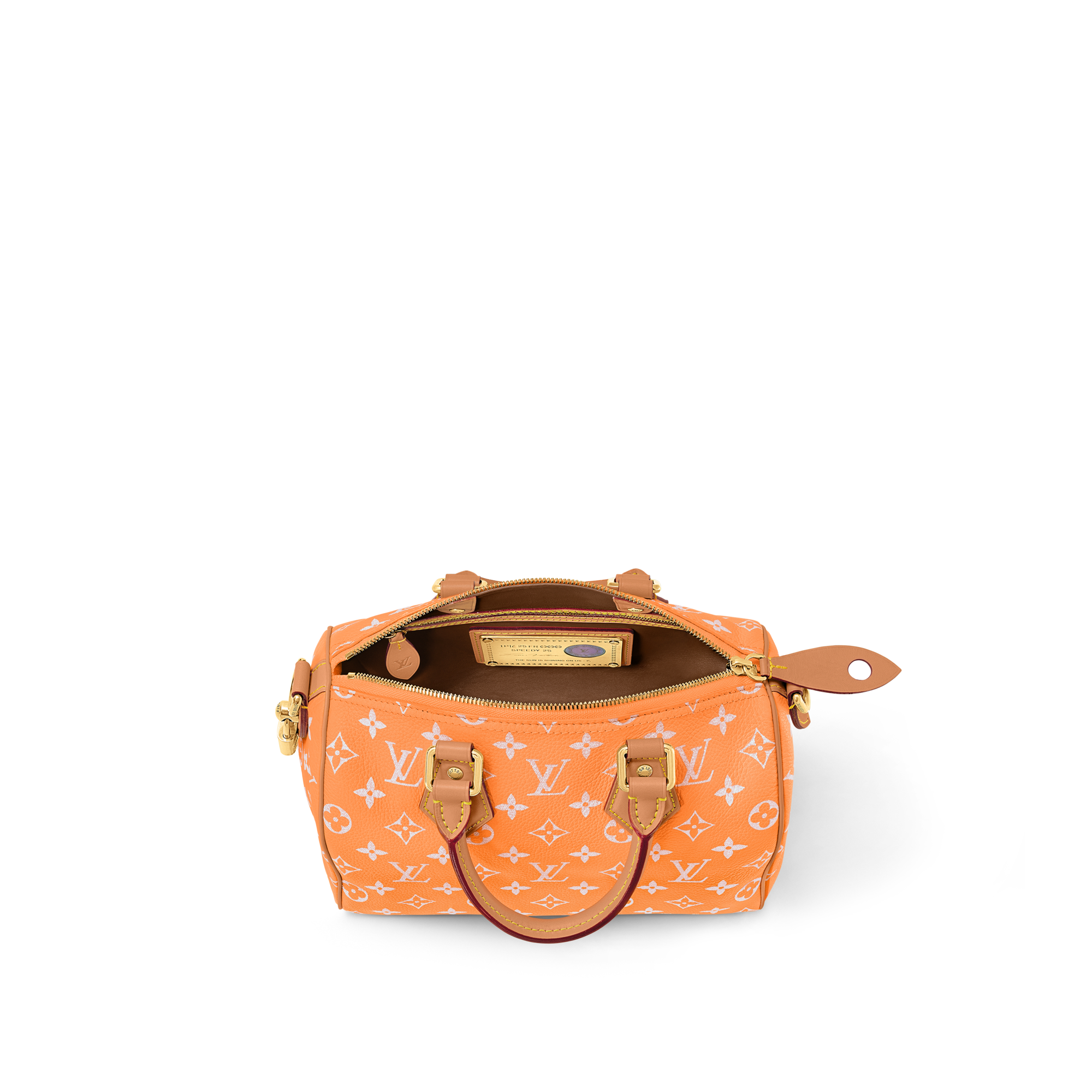Autres Cuirs Monogram Leather Goods and Travel Speedy P9 Speedy P9 Bandoulière 25 | Louis Vuitton ® (Product zoom)
