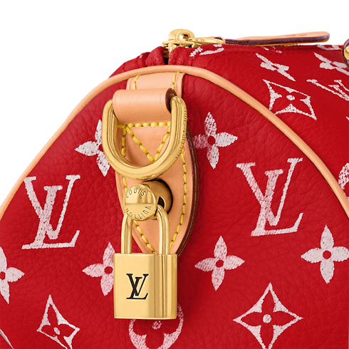 H40 Leather Goods and Travel Speedy P9 Speedy P9 Bandoulière 25 | Louis Vuitton ® (Product zoom)