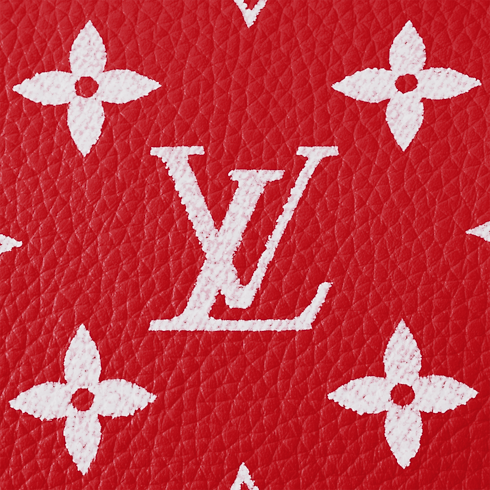 H40 Leather Goods and Travel Speedy P9 Speedy P9 Bandoulière 25 | Louis Vuitton ® (Product zoom)