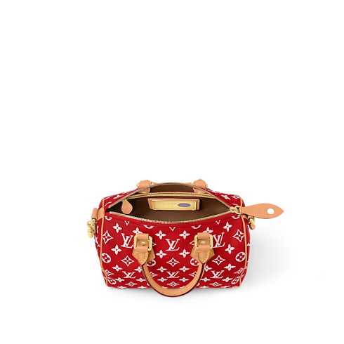 H40 Leather Goods and Travel Speedy P9 Speedy P9 Bandoulière 25 | Louis Vuitton ® (Product zoom)