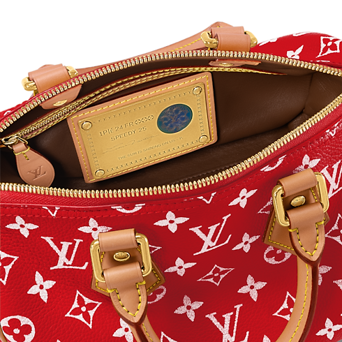 H40 Leather Goods and Travel Speedy P9 Speedy P9 Bandoulière 25 | Louis Vuitton ® (Product zoom)