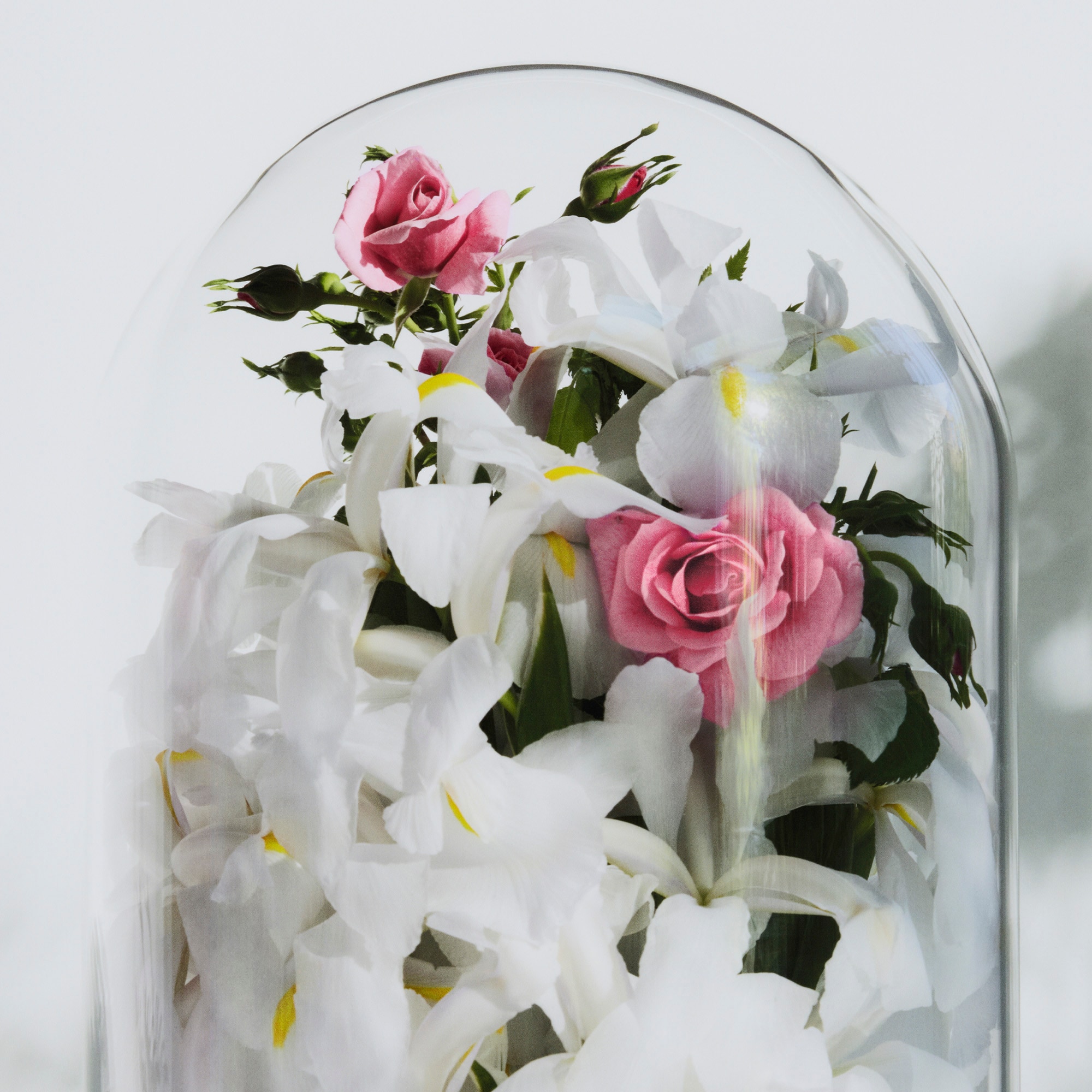 Spell on You - Perfumes and Beauty - Icons | LOUIS VUITTON ®