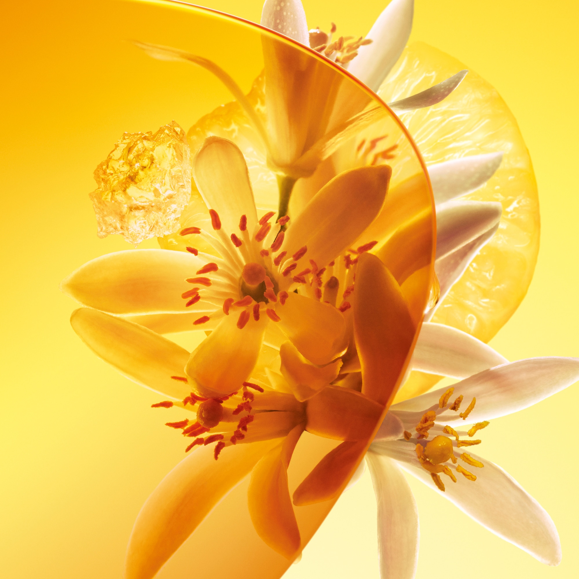  Collections Masculine Perfumes Sun Song | Louis Vuitton ® (Product zoom)