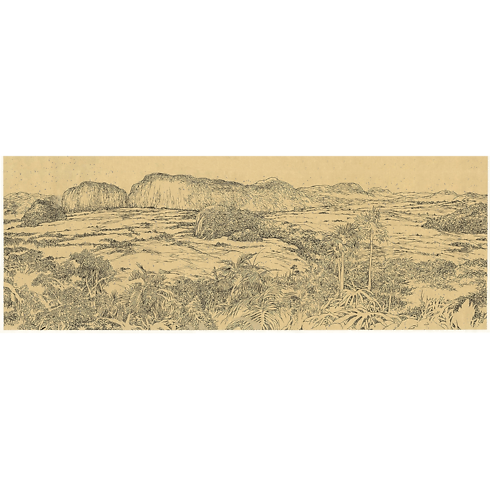 Library Travel Book Travel Book Cuba | Louis Vuitton ® (Product zoom)