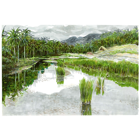 Library Travel Book Travel Book Cuba | Louis Vuitton ® (Product zoom)