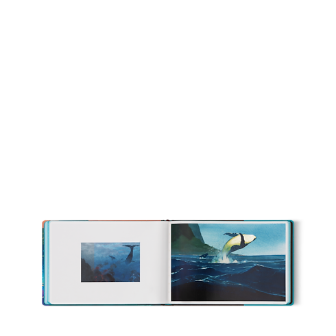 Library Travel Book Travel Book Hawaii | Louis Vuitton ® (Product zoom)