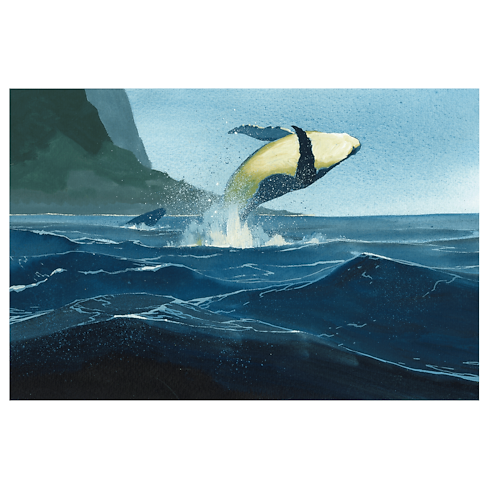 Library Travel Book Travel Book Hawaii | Louis Vuitton ® (Product zoom)