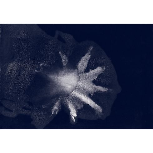 Library Travel Book Travel Book Mediterranean Sea Collector Edition | Louis Vuitton ® (Product zoom)